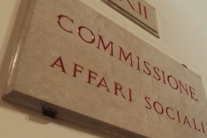 Commissione Affari Sociali